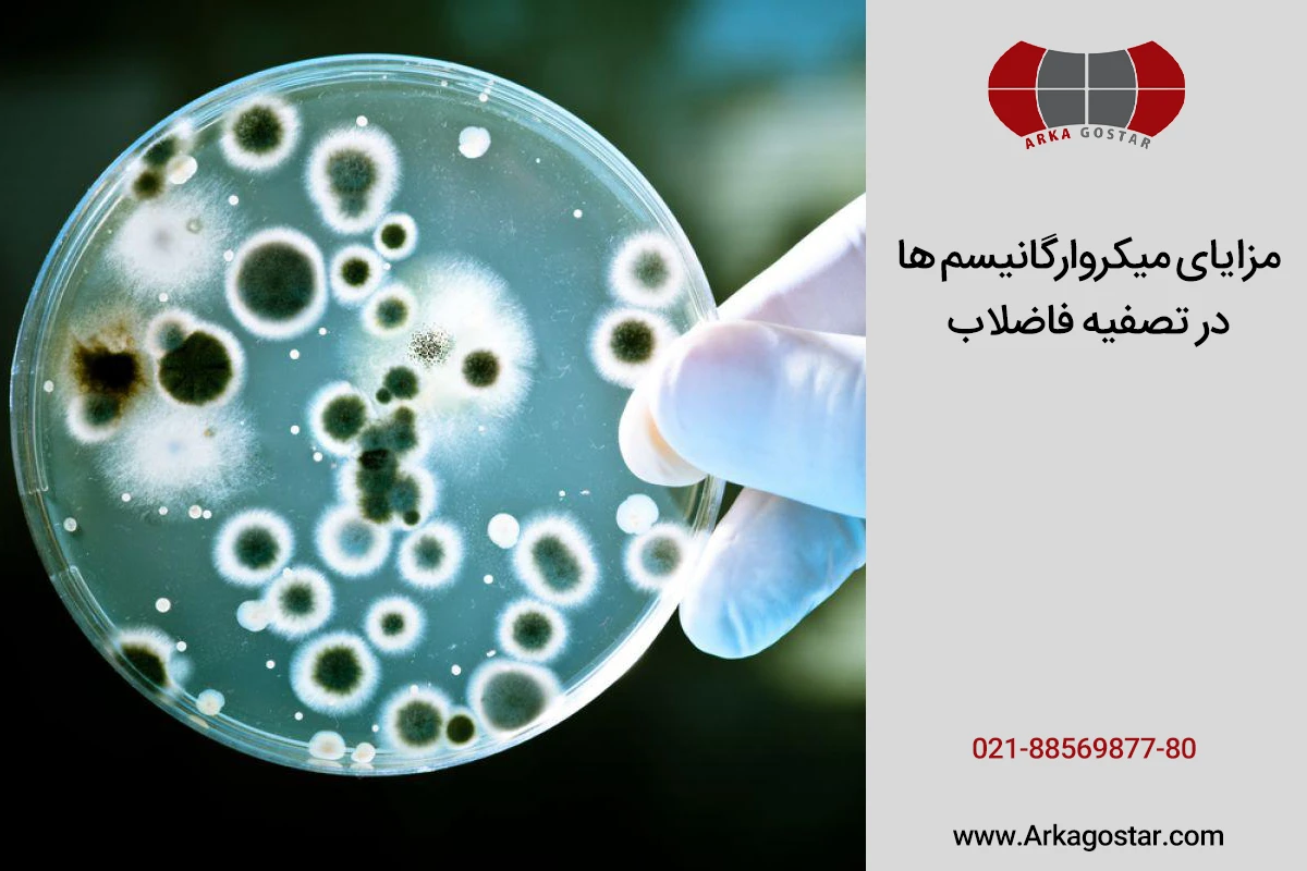 میکروارگانیسم ها در تصفیه فاضلاب چه مزایایی دارند؟