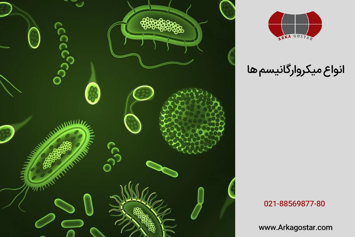انواع میکروارگانیسمها